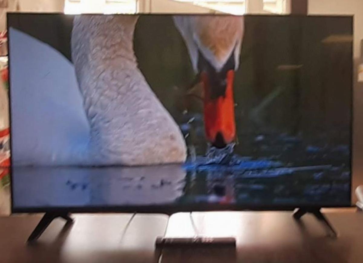 PHILIPS 40PF6009/12