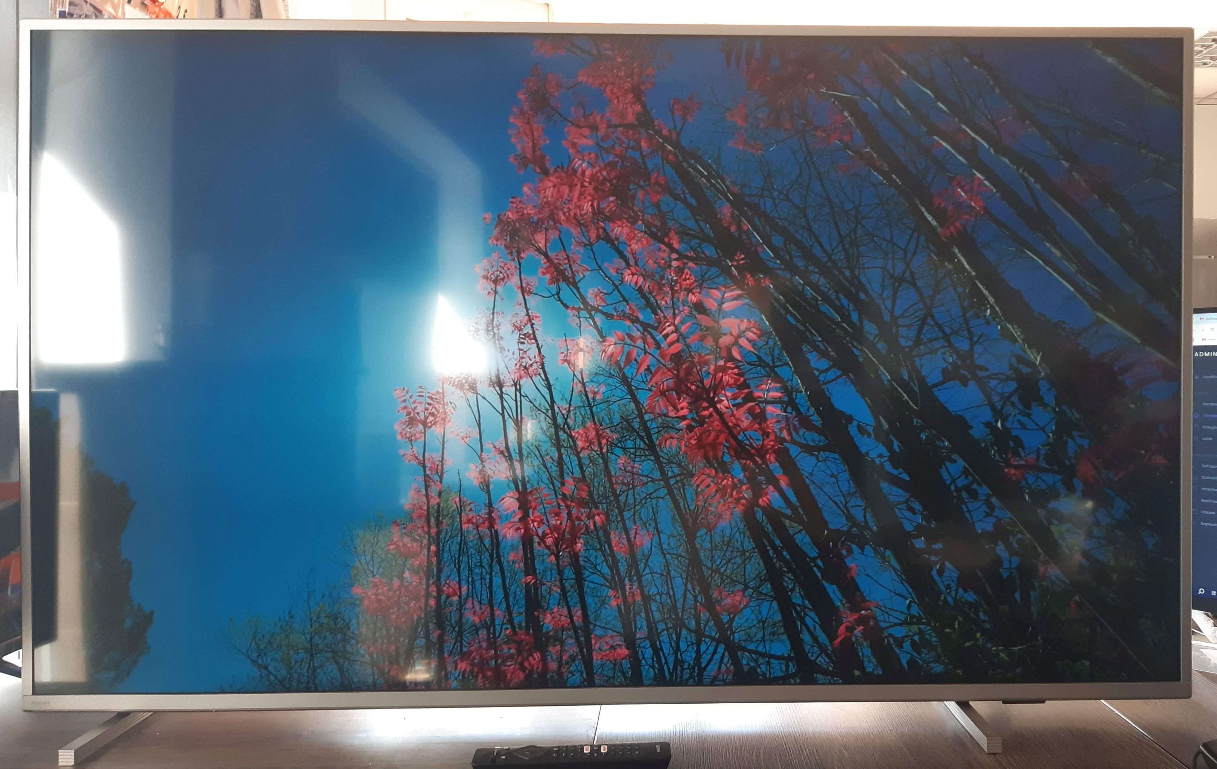 PHILIPS 58PUS8105/12