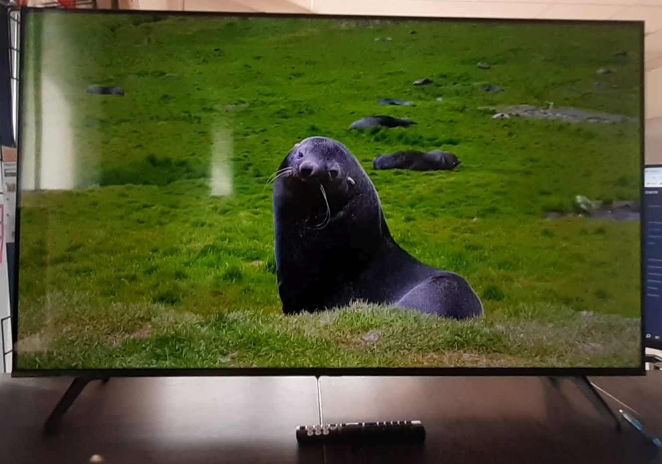 HISENSE 55E77NQ PRO