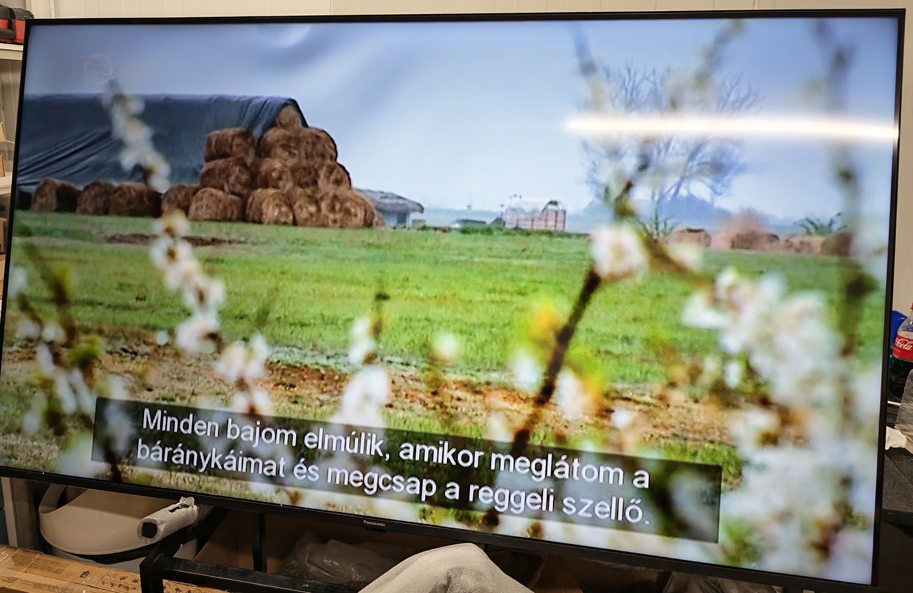 PANASONIC TV-65W80AEZ